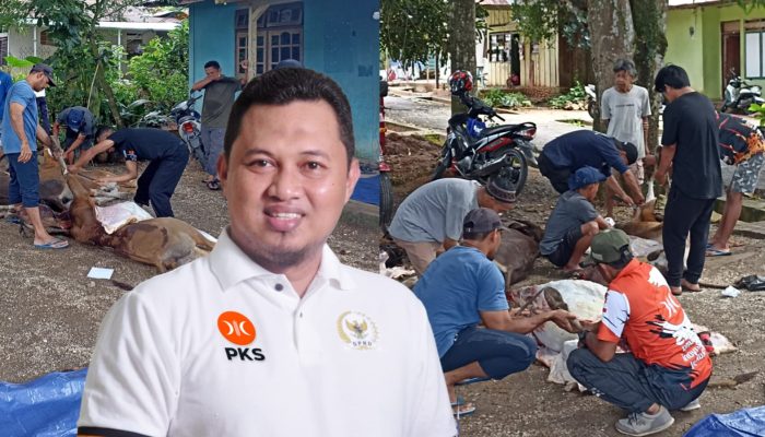 DPD PKS Se Maluku Tebar Kurban Sebanyak 23 Ribu Hari Ini, Ambon dan Buru Besok