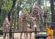 Penyesuaian tarif Ragunan demi pelayanan dan kesejahteraan satwa