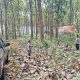 Waspada Karhutla, Polres Blitar Polsek Doko Bergerak Lakukan Patroli Pencegahan di Kawasan Hutan